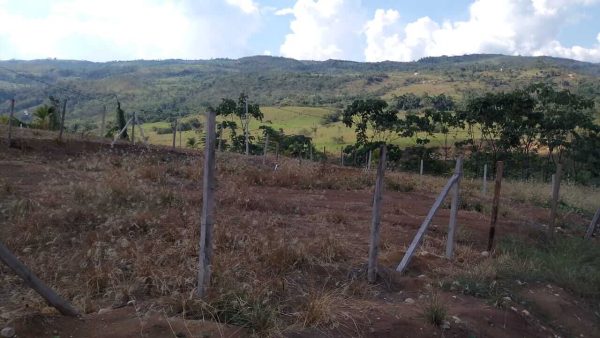 Lotes de ayuda social