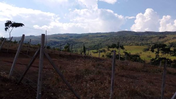 Lotes de ayuda social