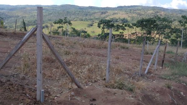 Lotes de ayuda social