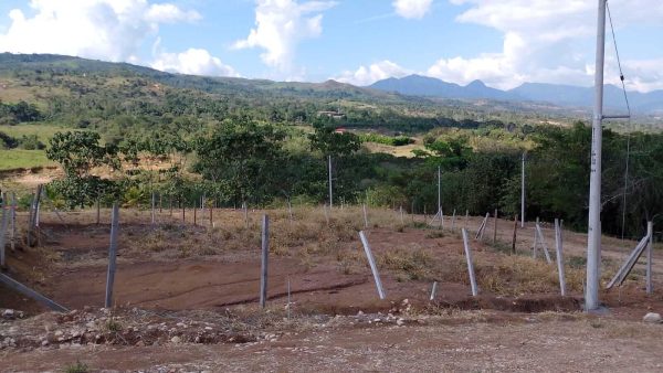 Lotes de ayuda social