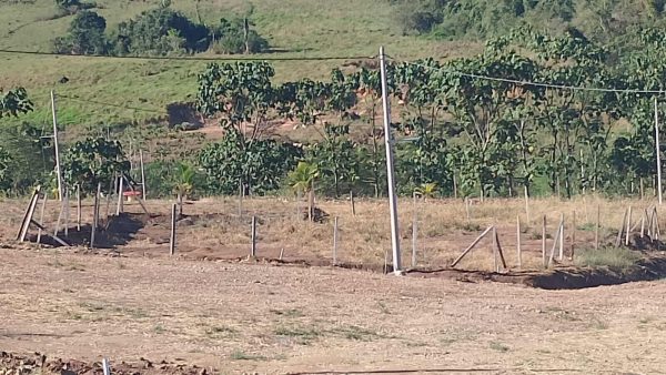 Lotes de ayuda social