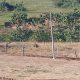 Lotes de ayuda social