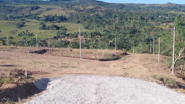 Lotes de ayuda social