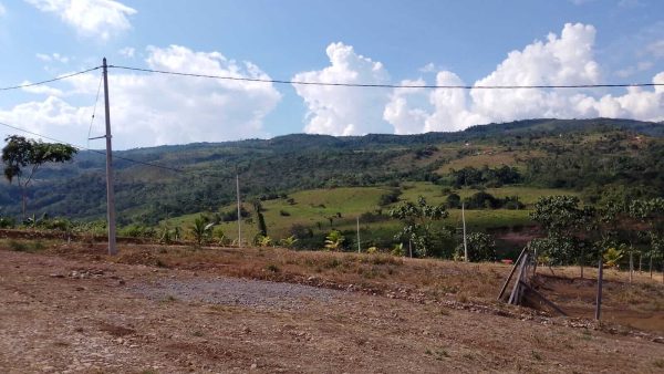 Lotes de ayuda social
