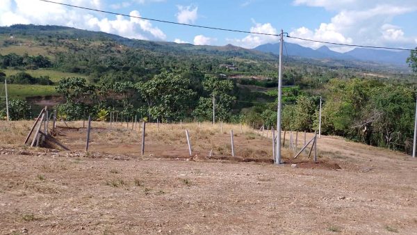Lotes de ayuda social
